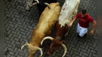 Spain's Running of the Bulls: Day three of San Fermin festival goes smoothly, none injured
