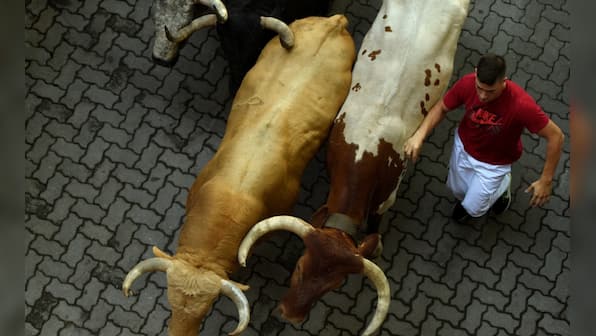 Spain's Running of the Bulls: Day three of San Fermin festival goes smoothly, none injured