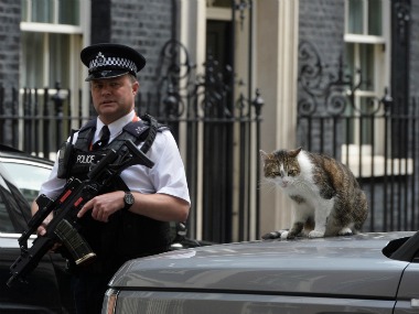 45-year-old man arrested for trying to steal Magna Carta from UK's Salisbury Cathedral 45-year-old man arrested for trying to steal Magna Carta from UK's Salisbury Cathedral