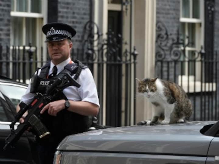 Novichok poisoning case: UK police find 'small bottle' containing Soviet-made nerve agent at victim's house in Amnesbury
