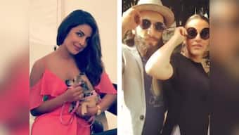 Priyanka Chopra's pooch, Parineeti Chopra's insane throwback video: Social Media Stalker's guide