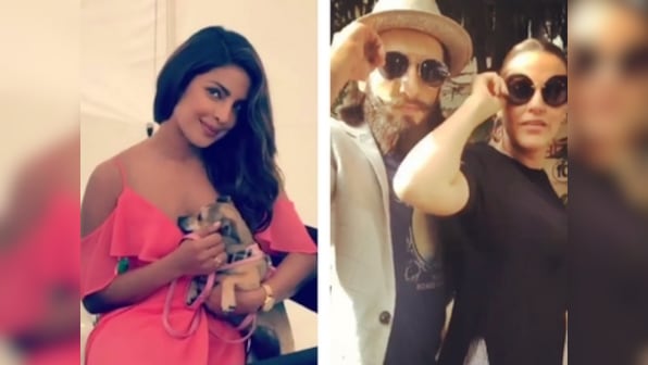 Priyanka Chopra's pooch, Parineeti Chopra's insane throwback video: Social Media Stalker's guide