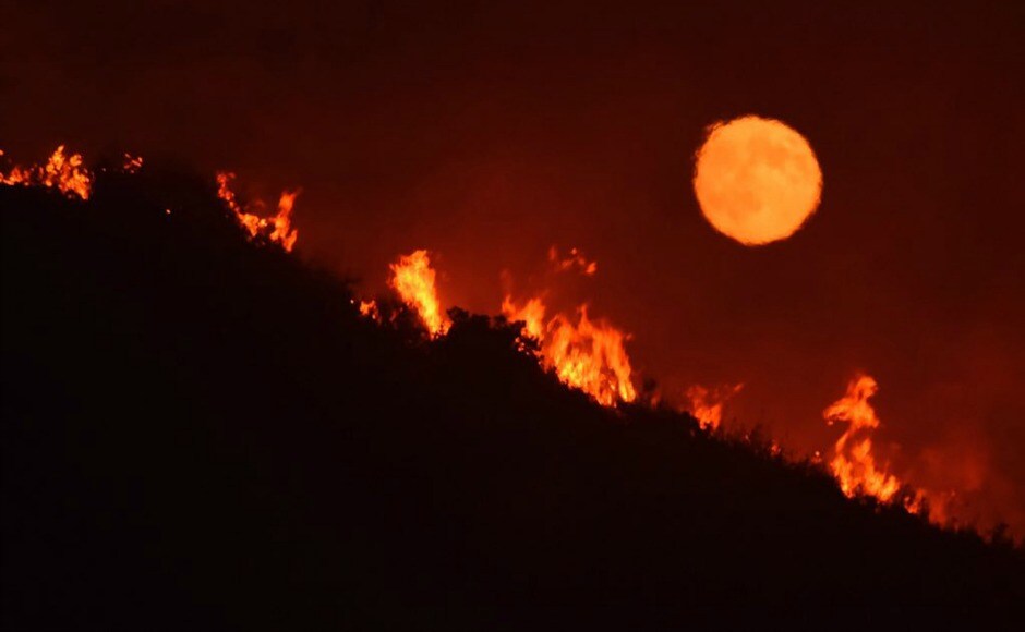 A wildfire in western California on Sunday mostly destroyed a Boy Scouts camp, killing all of the animals in its nature center. AP A wildfire in western California on Sunday mostly destroyed a Boy Scouts camp, killing all of the animals in its nature center. AP