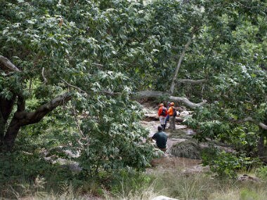 Relief measures are being undertaken in the state. AP