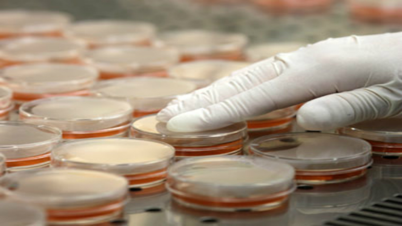 Multidrug-resistant superbug found spreading through hospitals across the world Multidrug-resistant superbug found spreading through hospitals across the world