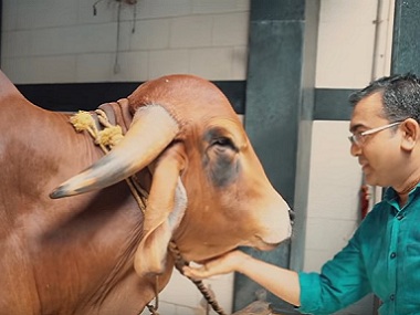 101 Oddly in India: Doctor behind 'Cowpathy' brand makes skincare products from cow dung, urine 101 Oddly in India: Doctor behind 'Cowpathy' brand makes skincare products from cow dung, urine