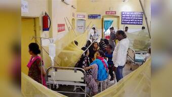 Twelve-year-old boy becomes first victim of dengue in Delhi this year, say municipal authorities