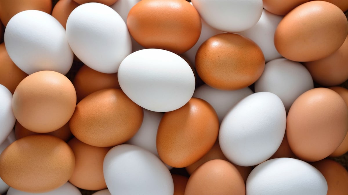 How many eggs is too many? Cholesterol, link to heart disease analyzed in new study