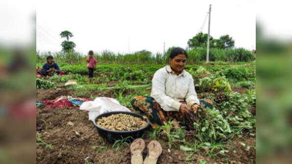 Marathwada Diary: Farmers' distress goes beyond weather patterns, to intensify protests if demands not met by 25 July
