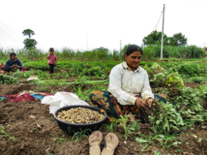 Marathwada Diary: Farmers' distress goes beyond weather patterns, to intensify protests if demands not met by 25 July