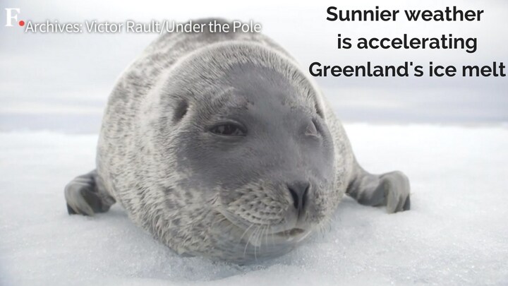 Watch: Sunnier weather accelerating Greenland's ice melt