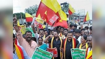 Karnataka minister says whether state should have a flag or not is a 'grey area'