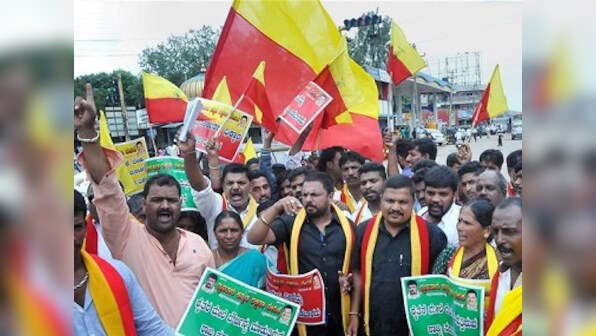 Karnataka minister says whether state should have a flag or not is a 'grey area'