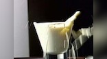 Govt launches quality mark logo for milk, milk products