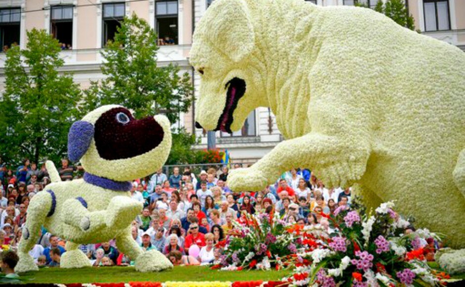 The highlight of the one-week fiesta is the carnival parade on 20 August — a national holiday when Hungarians celebrate the foundation of the Hungarian State — when spectacular flower floats decorated with hundreds of thousands of flowers parade through the streets of the city accompanied by Hungarian and foreign folk dance groups, orchestras and majorettes. AP The highlight of the one-week fiesta is the carnival parade on 20 August — a national holiday when Hungarians celebrate the foundation of the Hungarian State — when spectacular flower floats decorated with hundreds of thousands of flowers parade through the streets of the city accompanied by Hungarian and foreign folk dance groups, orchestras and majorettes. AP