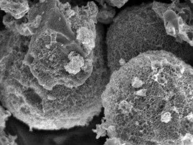 Scanning Electron Microscopy (SEM) image of porous carbon microspheres. Qilu University