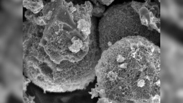 Scientists discover method to convert dried leaves into electronics