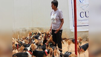 Single, living with animals in a rented home and harassed? Worry not, you aren't alone