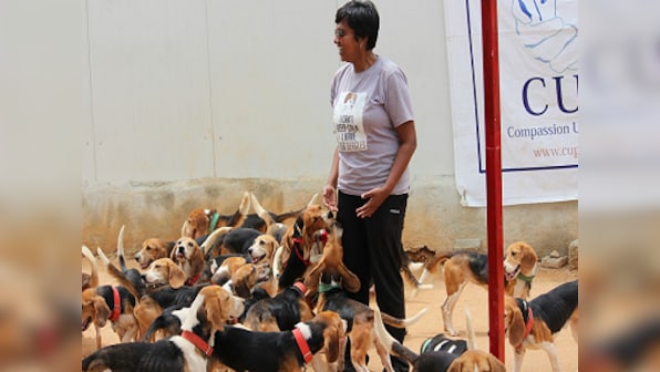 Single, living with animals in a rented home and harassed? Worry not, you aren't alone