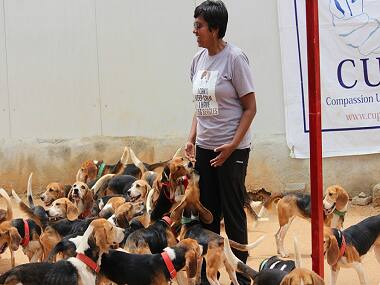 Single, living with animals in a rented home and harassed? Worry not, you aren't alone