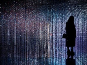 Global digital payments major PayPal launches India operations Global digital payments major PayPal launches India operations