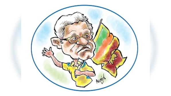 Cricket needs more characters like Percy Abeysekara, the Sri Lankan team's one-man cheering squad