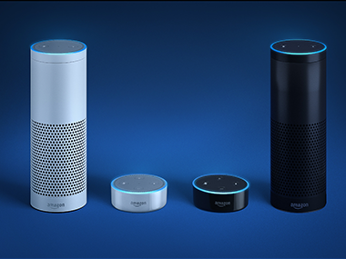 Amazon echo best sale dot offline