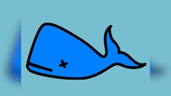 Madras HC directs central, Tamil Nadu govts to explore possibility of banning Blue Whale Challenge game