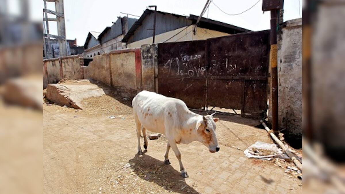 Uttar Pradesh: Yogi Adityanath orders setting up of ‘gaushalas’ in ...