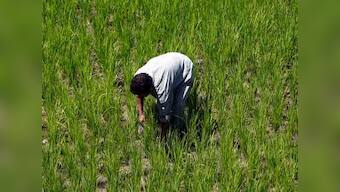 Loan waiver to Maharashtra farmers will help only a little, entire system needs overhaul