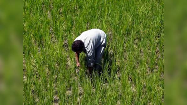 Loan waiver to Maharashtra farmers will help only a little, entire system needs overhaul