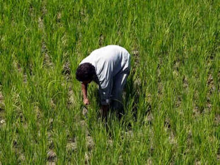 Farmers plan mega protest: Making right noises not enough, agriculture needs renewed focus by govt