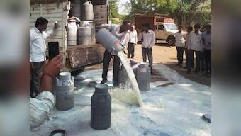 Farmers in Punjab and Haryana protest against 'alleged' anti-farmer policies, stop supply of milk and vegetables