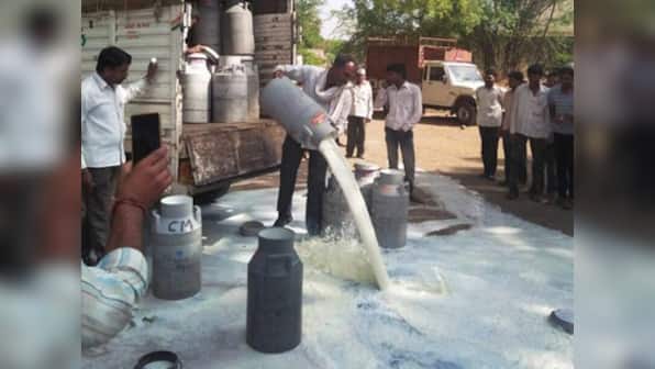 Farmers in Punjab and Haryana protest against 'alleged' anti-farmer policies, stop supply of milk and vegetables