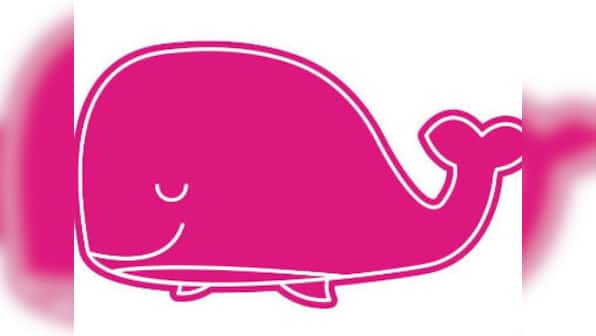 Pink Whale Challenge: A kinder twin to the hurtful, suicide-inducing Blue Whale Challenge