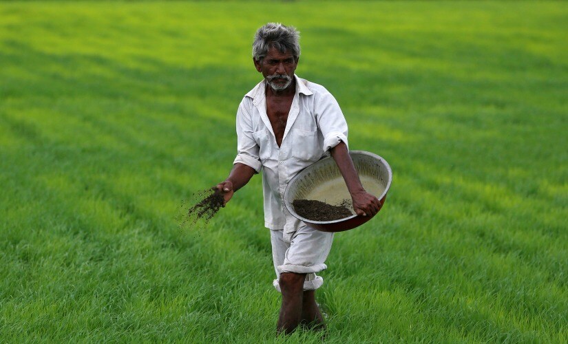 File image of a farmer adding fertiliser during the growing season. Reuters