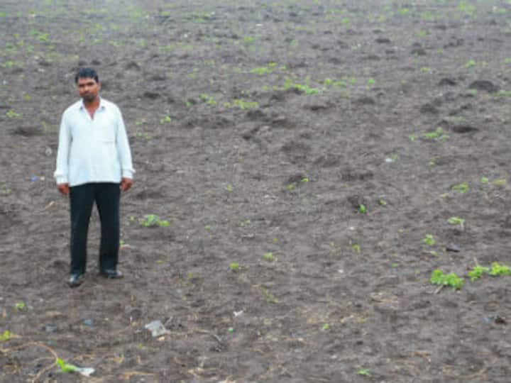 Maharashtra farmers' loan waiver: Marathwada is yet to recover from the effects of irregular rainfall