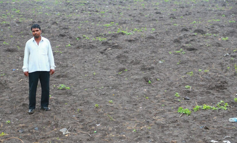 Sudarshan Gotekar, 40, stands in the middle of his toor farm in Hivardi, Jalna. Image courtesy: Bhakti Tambe
