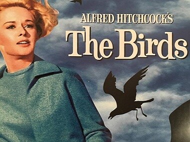 BBC to adapt Alfred Hitchcock's 1963 classic The Birds into TV series