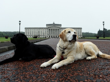 UK MP Jess Phillips accuses Pakistanis of importing wives for disabled sons UK MP Jess Phillips accuses Pakistanis of importing wives for disabled sons