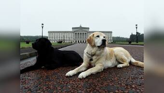 UK MP Jess Phillips accuses Pakistanis of importing wives for disabled sons