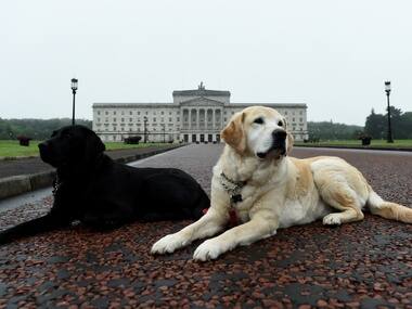 UK MP Jess Phillips accuses Pakistanis of importing wives for disabled sons
