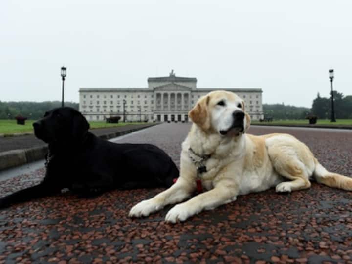 UK MP Jess Phillips accuses Pakistanis of importing wives for disabled sons