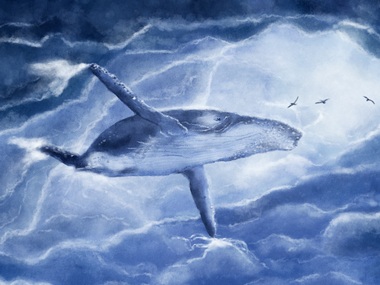 Government advisory on the Blue Whale Challenge asks guardians to monitor the online activities of children Government advisory on the Blue Whale Challenge asks guardians to monitor the online activities of children