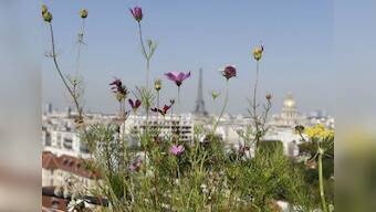 Agra NGO to use radio frequency identification chip to improve plant care