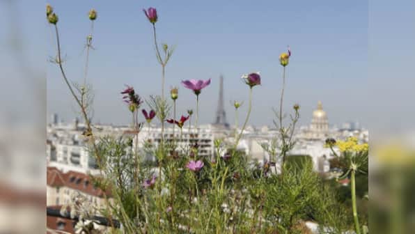 Agra NGO to use radio frequency identification chip to improve plant care