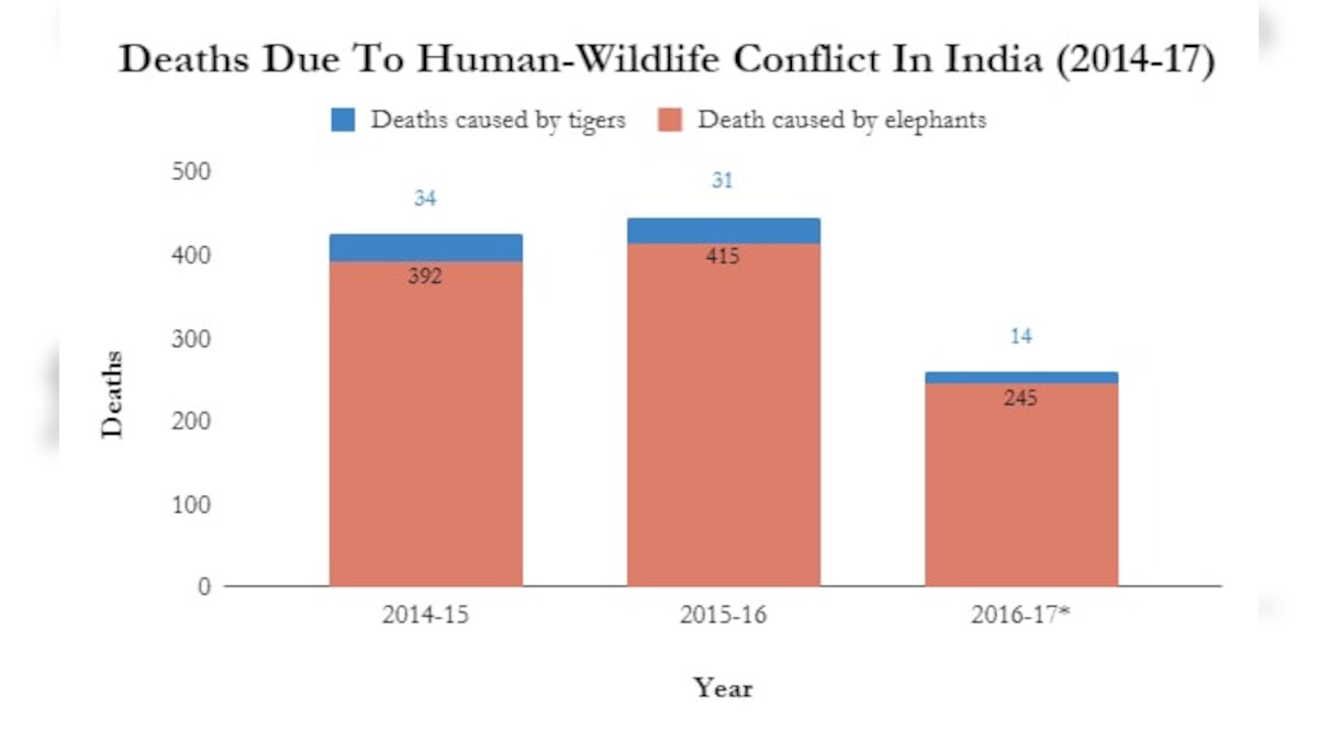 Man-animal conflict: Elephants, tigers have killed 1,100 people across India since 2014