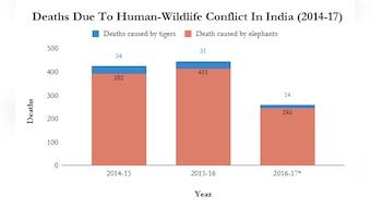 Man-animal conflict: Elephants, tigers have killed 1,100 people across India since 2014