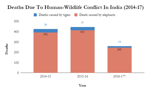 Man-animal conflict: Elephants, tigers have killed 1,100 people across India since 2014 Man-animal conflict: Elephants, tigers have killed 1,100 people across India since 2014
