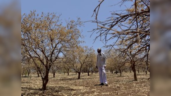 Maharashtra farm loan waiver: Online application process confounds farmers; lakhs fail to sign up